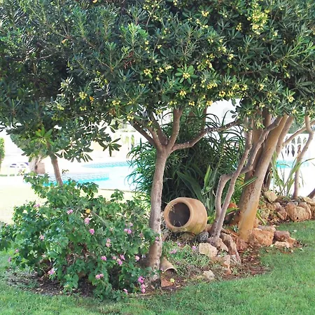 招待所 Casa Del Ancla, Attractive House Near The Sea In 托雷维耶哈