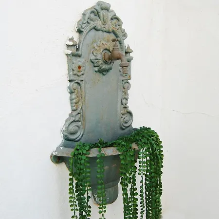 Casa Del Ancla, Attractive House Near The Sea In 托雷维耶哈