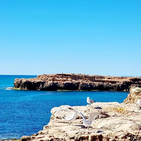 Holiday home Casa Del Ancla, Attractive House Near The Sea *